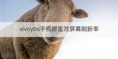 vivoy9s手机哪里改屏幕刷新率