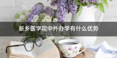 新乡医学院中外办学有什么优势