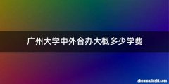 广州大学中外合办大概多少学费