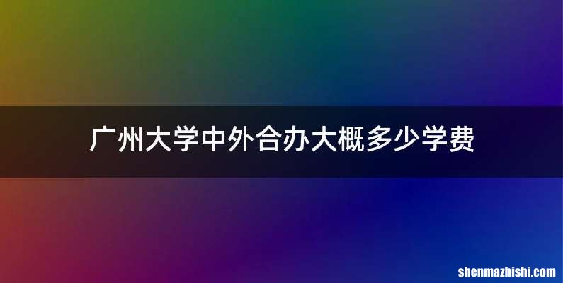 广州大学中外合办大概多少学费