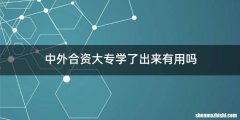 中外合资大专学了出来有用吗