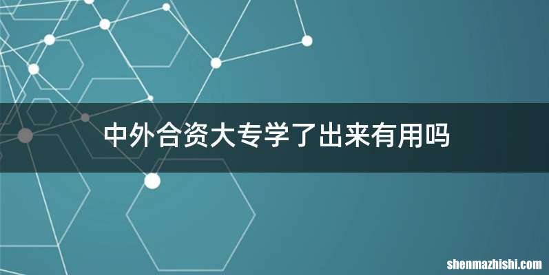 中外合资大专学了出来有用吗