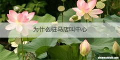 为什么驻马店叫中心
