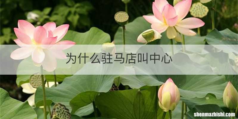 为什么驻马店叫中心