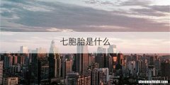 七胞胎是什么