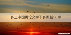 乡土中国再论文字下乡概括50字