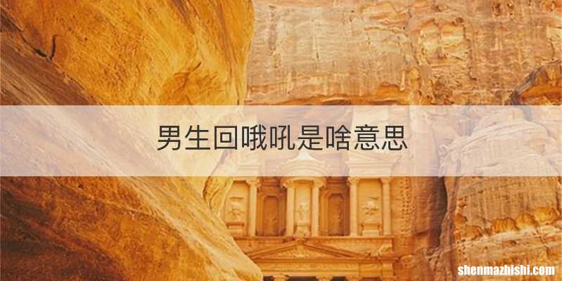 男生回哦吼是啥意思