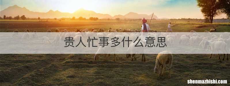 贵人忙事多什么意思