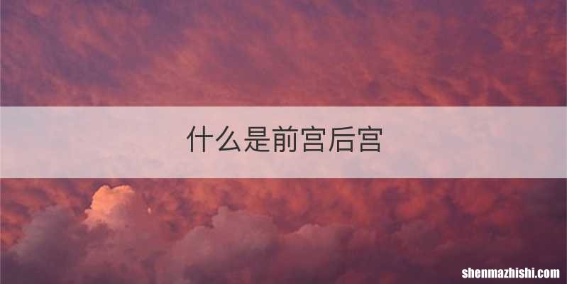 什么是前宫后宫