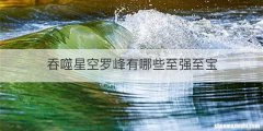吞噬星空罗峰有哪些至强至宝