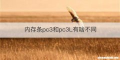 内存条pc3和pc3L有啥不同