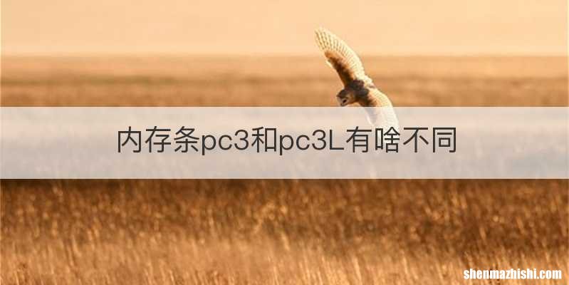 内存条pc3和pc3L有啥不同