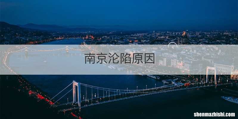 南京沦陷原因