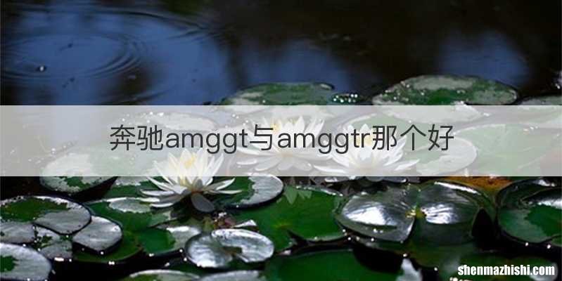 奔驰amggt与amggtr那个好