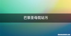 巴黎圣母院玷污