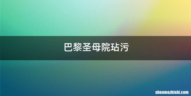 巴黎圣母院玷污