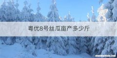粤优8号丝瓜亩产多少斤