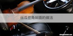 丝瓜豆角焖面的做法