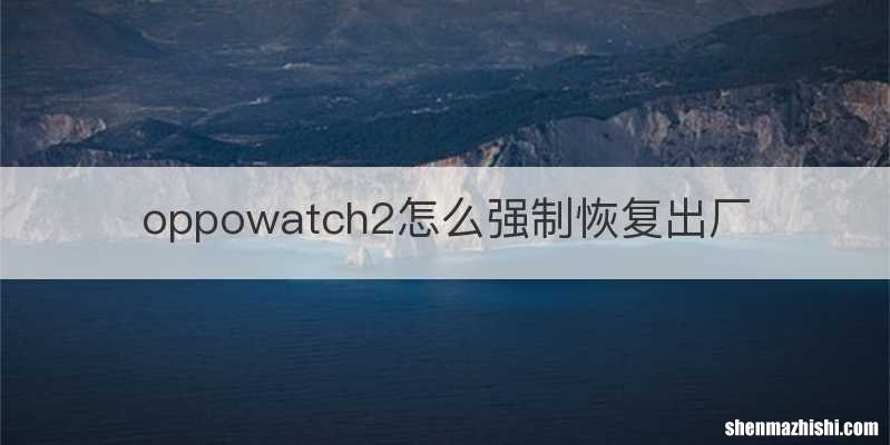 oppowatch2怎么强制恢复出厂
