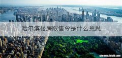 哈尔滨楼房限售令是什么意思