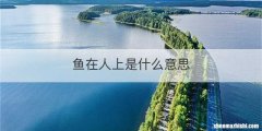 鱼在人上是什么意思