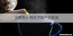 河南怎么用共济账户交医保