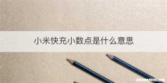 小米快充小数点是什么意思