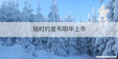 随时约宣布明年上市