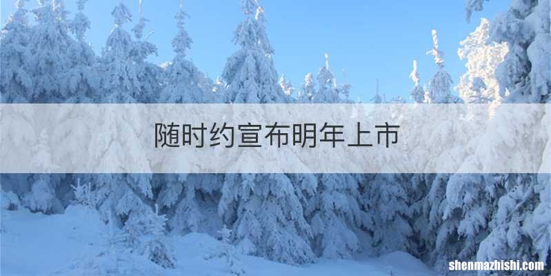 随时约宣布明年上市