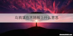 乌鸦落在木地板上什么意思