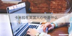 卡米拉在英国人心中是什么