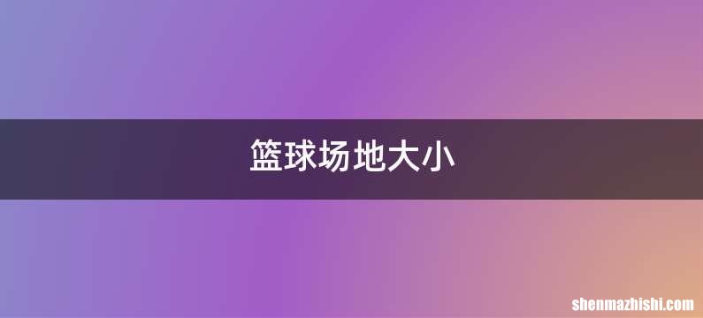篮球场地大小