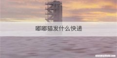 嘟嘟猫发什么快递