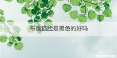 布偶猫脸是黑色的好吗