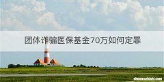 团体诈骗医保基金70万如何定罪