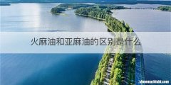 火麻油和亚麻油的区别是什么