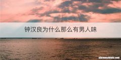 钟汉良为什么那么有男人味