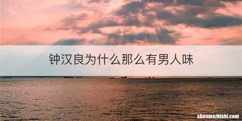 钟汉良为什么那么有男人味