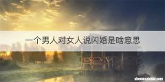 一个男人对女人说闪婚是啥意思