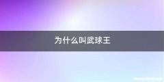 为什么叫武球王