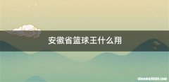 安徽省篮球王什么翔