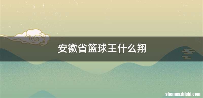 安徽省篮球王什么翔