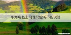 华为电脑上网课只能听不能说话