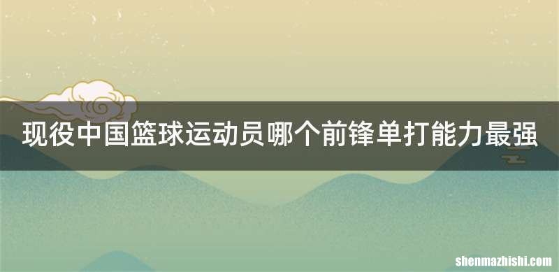 现役中国篮球运动员哪个前锋单打能力最强