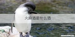 火麻酒是什么酒