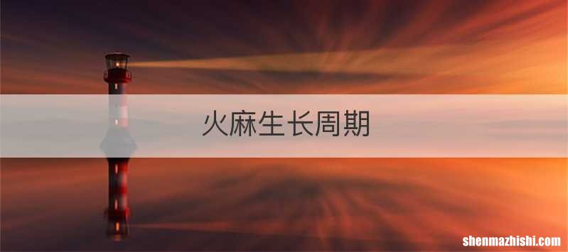 火麻生长周期