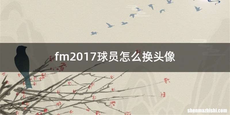 fm2017球员怎么换头像
