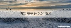 描写春天什么的微风
