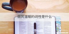 微风温暖的词性是什么