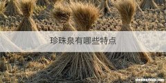 珍珠泉有哪些特点